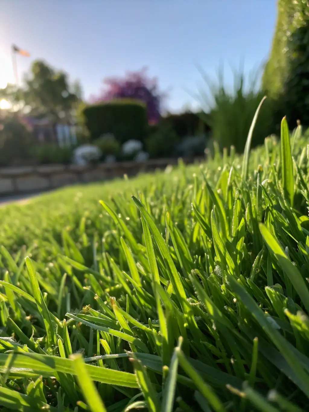 A vibrant image of a freshly cleaned and well-maintained yard, showcasing neatly trimmed grass, pruned bushes, and a clutter-free environment, representing Todo Haul & Clean's yard cleanup service.